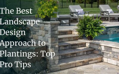 The Best Landscape Design Approach to Plantings: Top Pro Tips