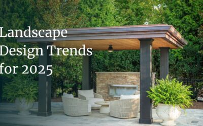 What’s New: Landscaping Design Trends for 2025