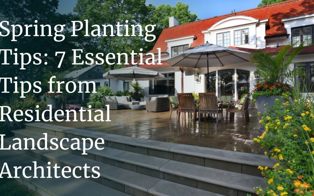 Spring Planting Tips: 7 Essential Tips From Residential Landscape Architects